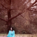 Akarisma Ent (pixiegraphy)