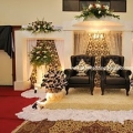 Aliza Collections