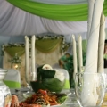 Seri Cempaka Canopy & Catering Services