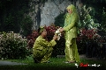 Shahkasahias Photography