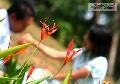 Shahroll Photography