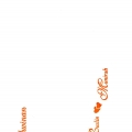 Eydaz Wedding Cards