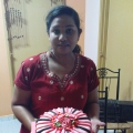 Lovezie Cakes House