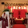 D Renjis Bridal