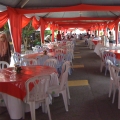 Mann Canopy