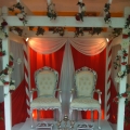 Mann Canopy