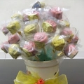 Maycoklat
