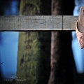 Mangotouch Photography