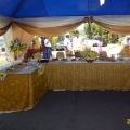 Evolusibina Canopy & Catering