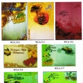 D'da Creations