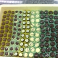 Kelas & Tempahan Coklat Buatan Tangan Di Rumah