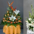 Rostam And Decorations