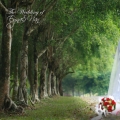 Maniss Fotography&videoworks