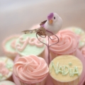 Cupcakes Kuantan