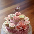 Cupcakes Kuantan