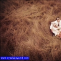 Syazwan Yazid Photography