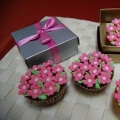 Szcutesweet Cup Cakes & Cakes