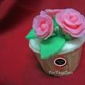Fazi Fuzzy Cakes