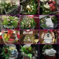 Wedding Planner