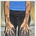 Sheema Inai Artist