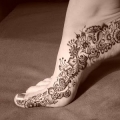 Sheema Inai Artist