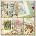 Qhaiyra's Deco Diary