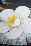 Wannieta D'peterana Bridal & Beauty House