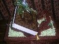 Wannieta D'peterana Bridal & Beauty House