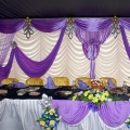 Mohd Faizal Canopy