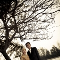 Golden Hand Photography