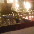 Arfena Event Management