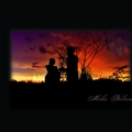 Petik Pictures