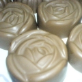 Adamshoppe Choc