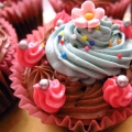 Celebrity Cupcake