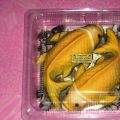 Chocolate D'hati