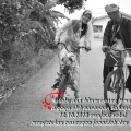 Serikandi Foto