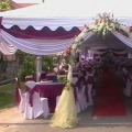 Zme Canopy