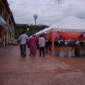 Zme Canopy