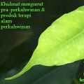 Terapi Sutra