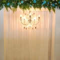 D'lily Weddings