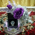 Lara Creative& Collections