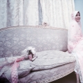 Dreamstudios Photography