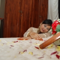 Laniphotographer