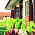 Ct Homestay