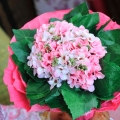 Harzharun Wedding Couture