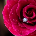 Lpix Photography