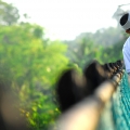 Arte Fotografia
