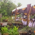 Sr Canopy & Transport Management