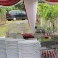 Nosee Canopy