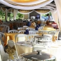 Nosee Canopy